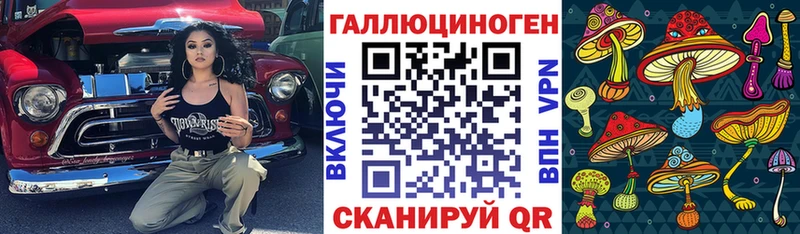 Псилоцибиновые грибы прущие грибы  даркнет сайт  Соль-Илецк 